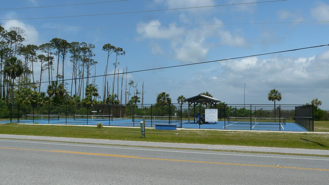 An outdoor pickleball court at a park with trees and a clear sky